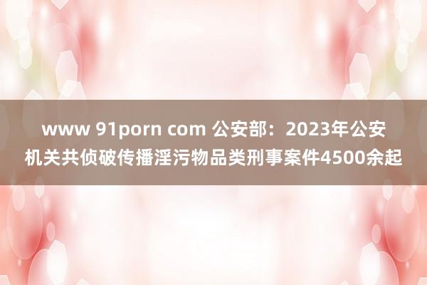 www 91porn com 公安部：2023年公安机关共侦破传播淫污物品类刑事案件4500余起