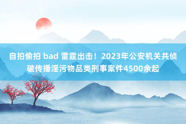 自拍偷拍 bad 雷霆出击！2023年公安机关共侦破传播淫污物品类刑事案件4500余起