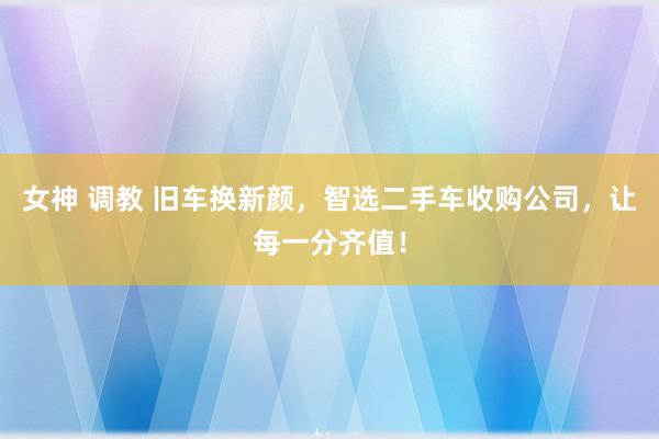 女神 调教 旧车换新颜，智选二手车收购公司，让每一分齐值！