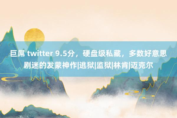 巨屌 twitter 9.5分，硬盘级私藏，多数好意思剧迷的发蒙神作|逃狱|监狱|林肯|迈克尔