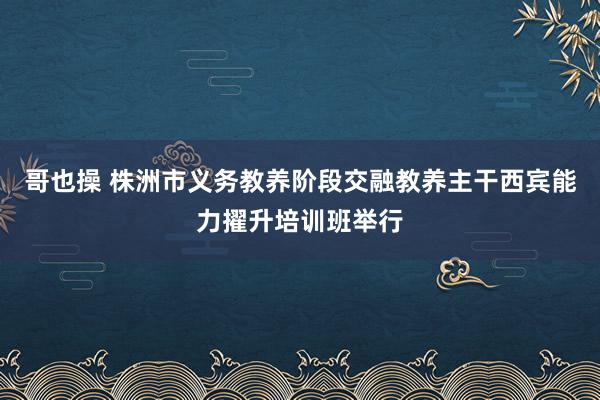 哥也操 株洲市义务教养阶段交融教养主干西宾能力擢升培训班举行