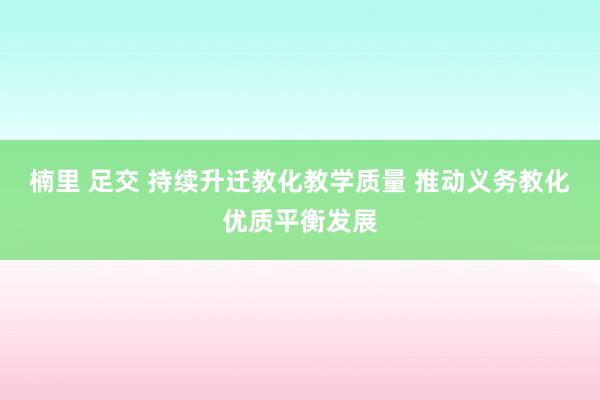 楠里 足交 持续升迁教化教学质量 推动义务教化优质平衡发展