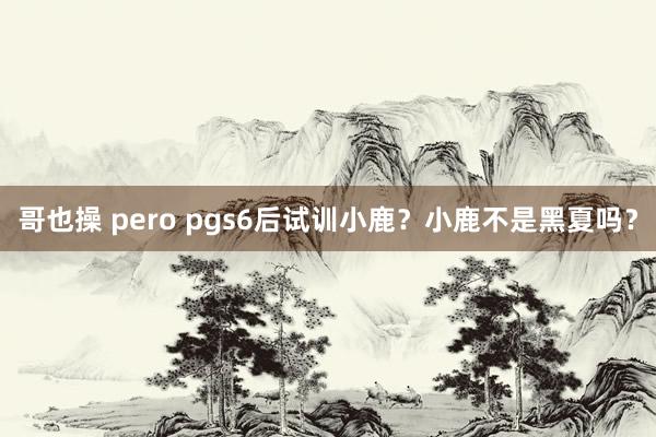 哥也操 pero pgs6后试训小鹿？小鹿不是黑夏吗？