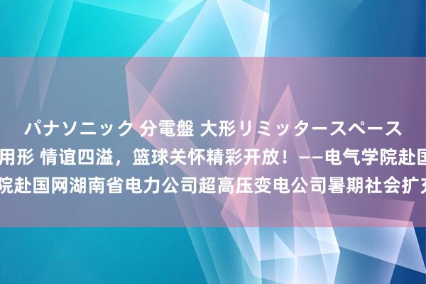 パナソニック 分電盤 大形リミッタースペースなし 露出・半埋込両用形 情谊四溢，篮球关怀精彩开放！——电气学院赴国网湖南省电力公司超高压变电公司暑期社会扩充团队开展篮球联谊赛