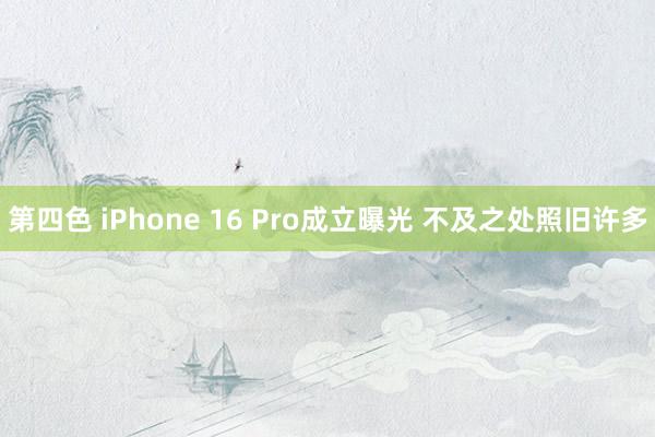 第四色 iPhone 16 Pro成立曝光 不及之处照旧许多