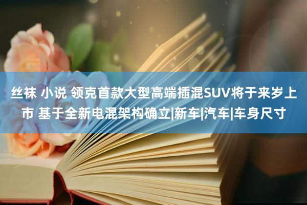 丝袜 小说 领克首款大型高端插混SUV将于来岁上市 基于全新电混架构确立|新车|汽车|车身尺寸